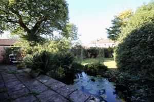 Photo 15- click for photo gallery